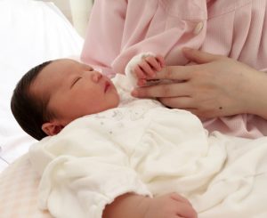 取り組み